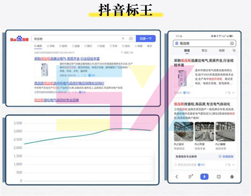 抖音標王推廣案例